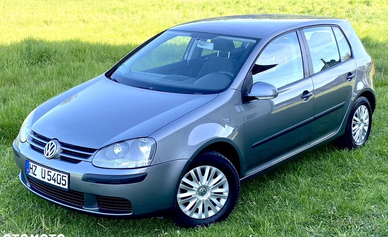 Volkswagen Golf cena 12600 przebieg: 193000, rok produkcji 2004 z Gostynin małe 562